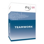 dig it!® teamwork